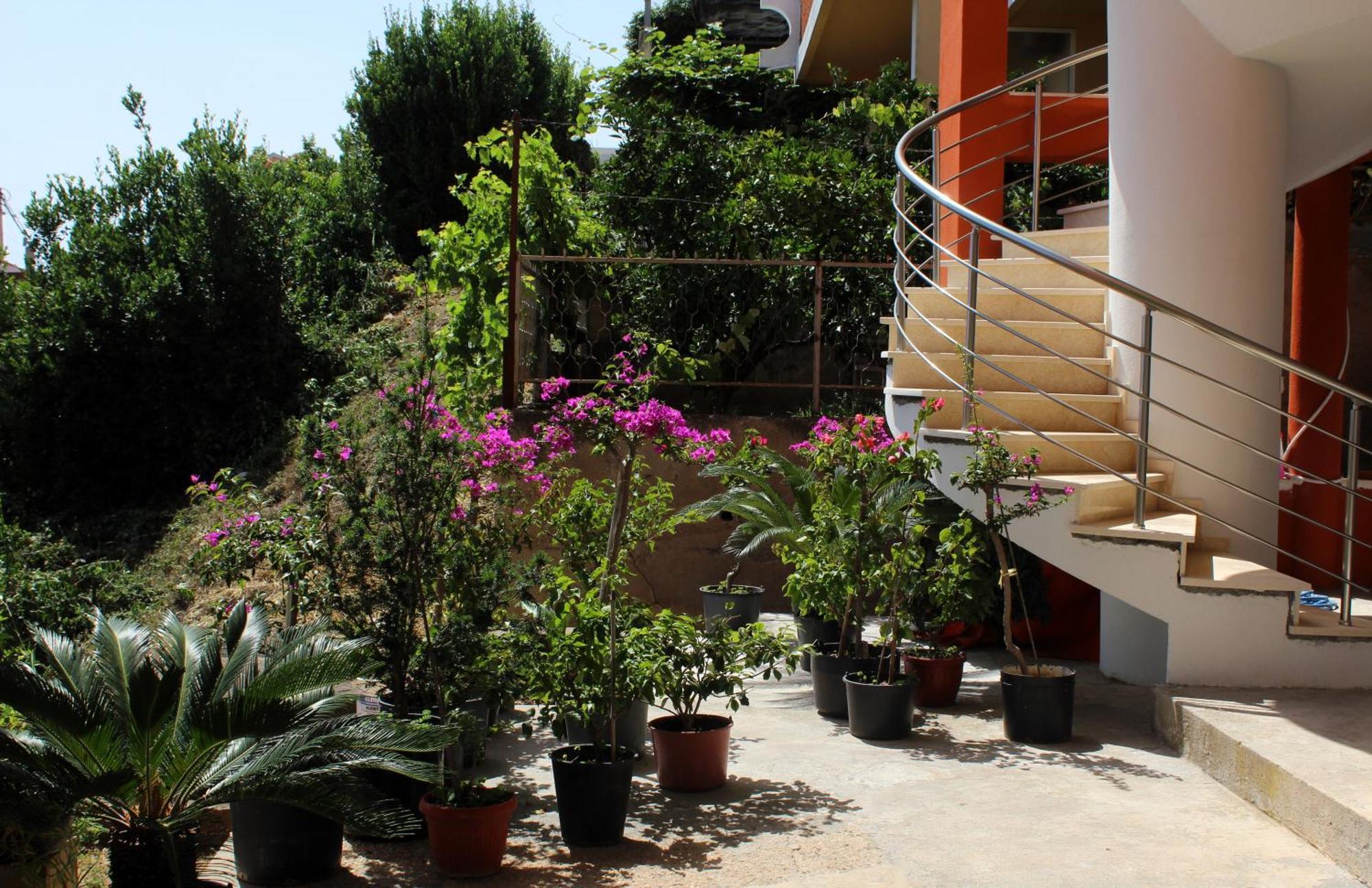 Apartments Olga Ulcinj Extérieur photo
